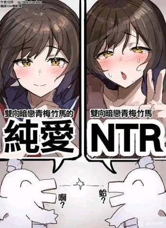 NTR官方网站下载教程 最新客户端获取指南
