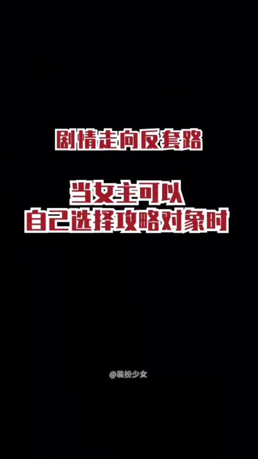 NTR故事之商务旅行游戏攻略 快速通关秘籍与剧情解析