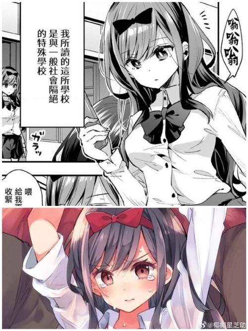 NTR版本大全推荐这些经典不容错过
