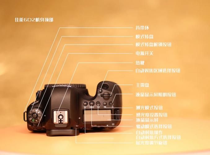 Nukitashi2官方网站怎么进 详细访问教程在这里