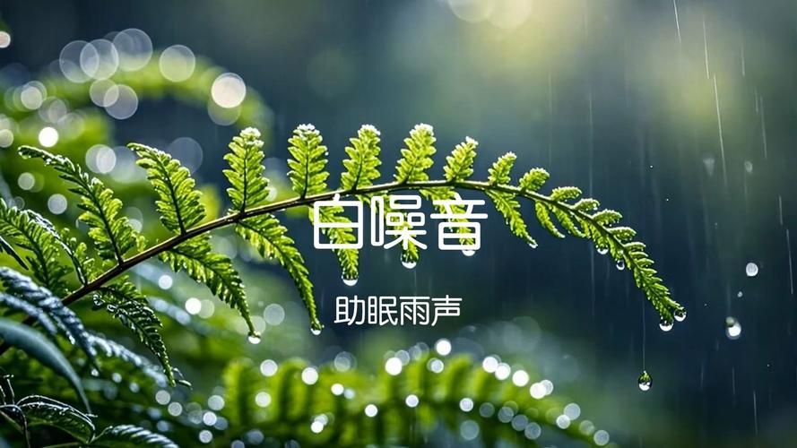 Rainnight雨版本大全 各种雨声助眠白噪音一网打尽