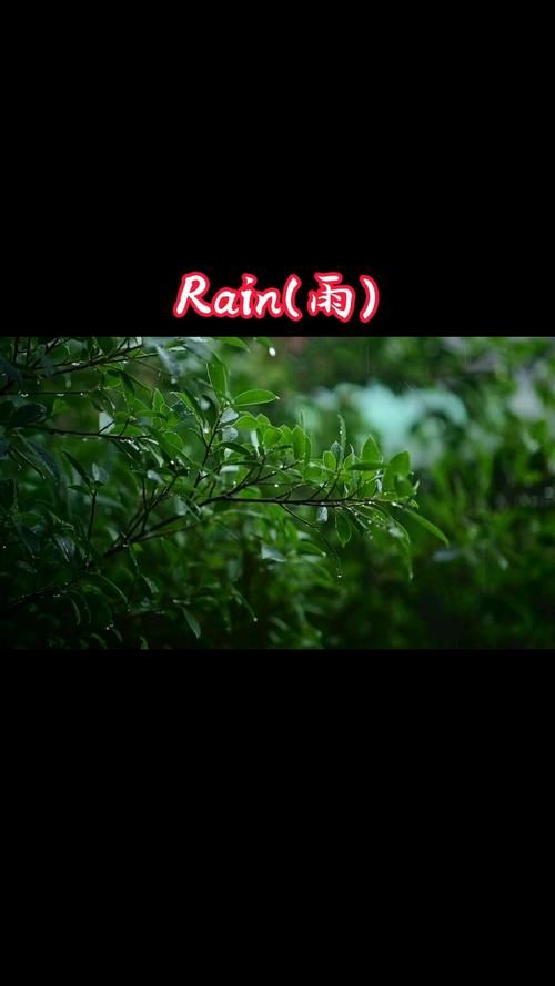 Rainnight雨版本大全 各种雨声助眠白噪音一网打尽
