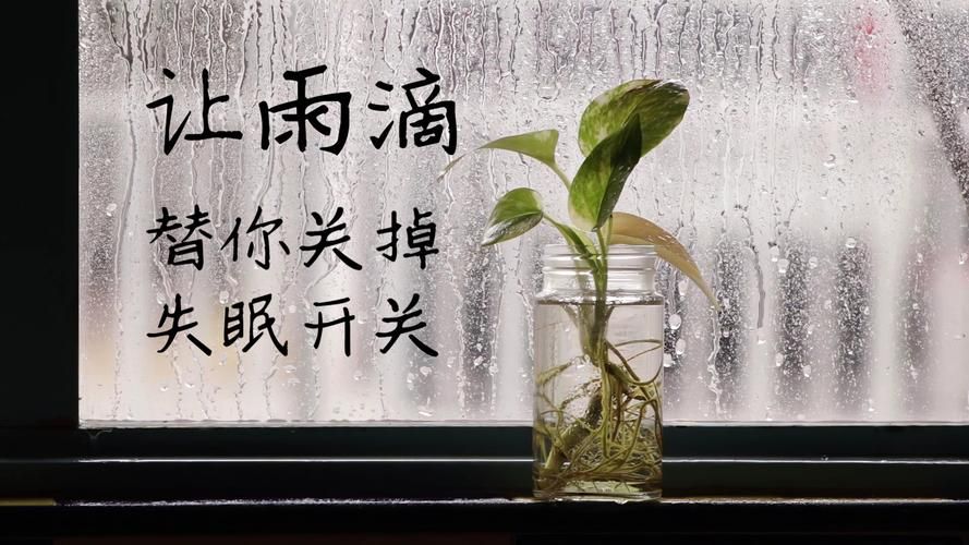 Rainnight雨版本大全 各种雨声助眠白噪音一网打尽
