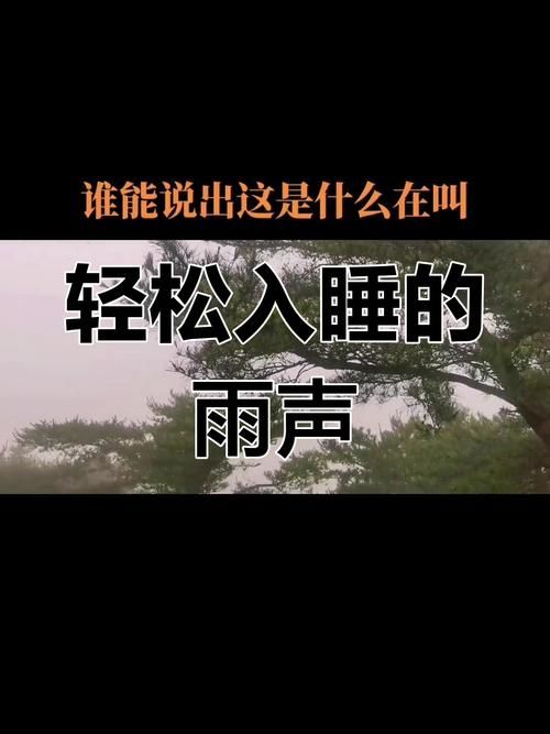 Rainnight雨版本大全 各种雨声助眠白噪音一网打尽