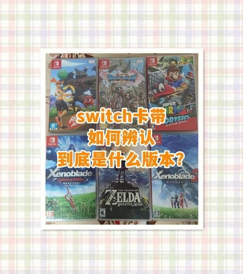 rinapo版本大全使用教程 教你如何选择版本