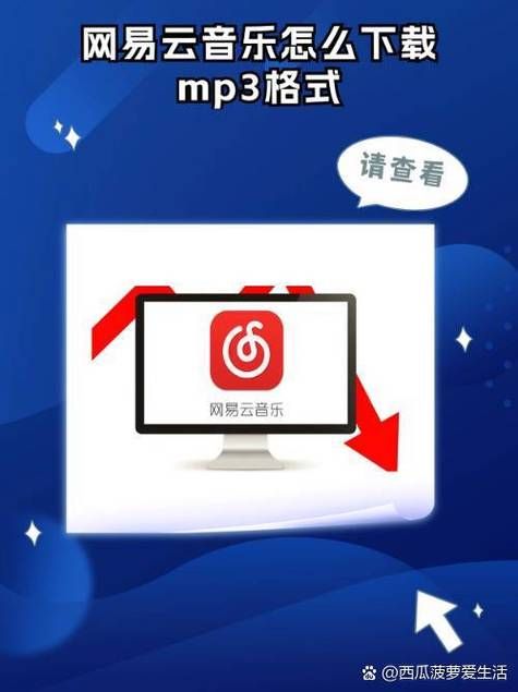 RiNaTest在哪下载 电脑手机双平台下载方法