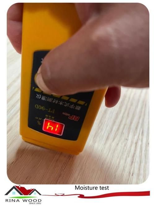 RiNaTest最新版本下载安装教程 手把手教你快速上手