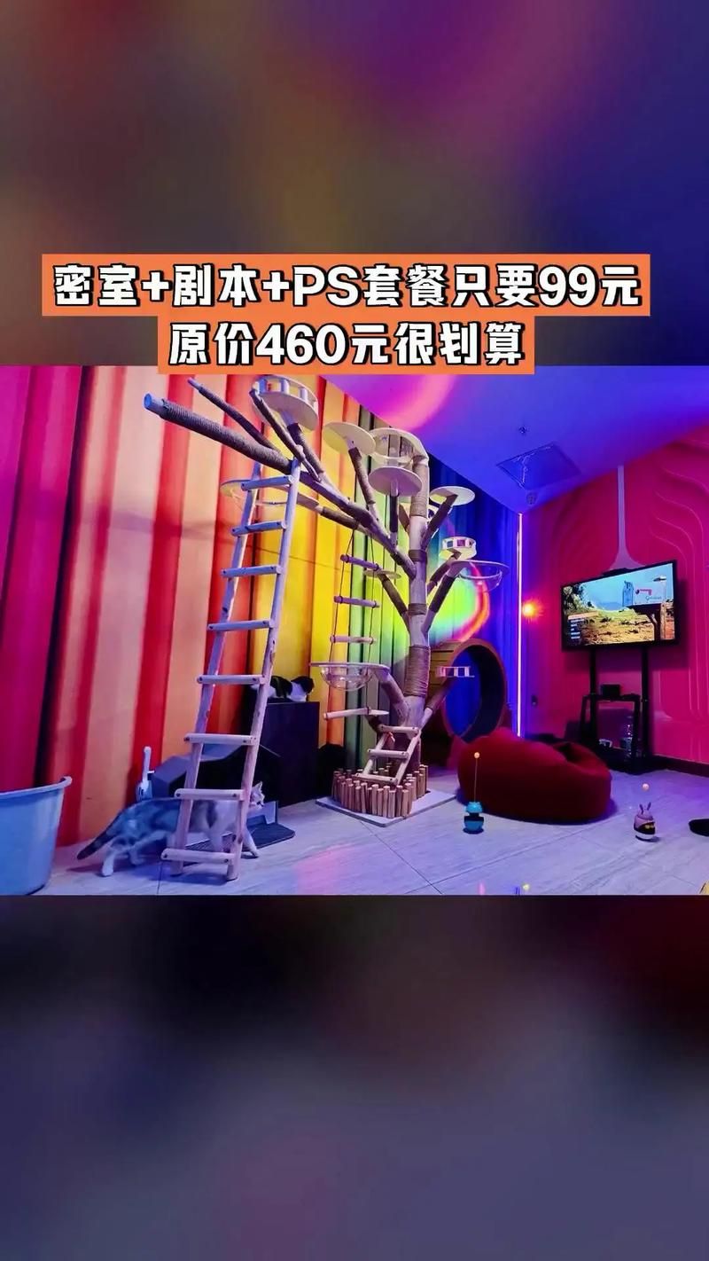 ROOM窥视女孩私生活游戏介绍 如何玩转这款偷窥游戏