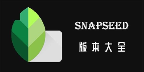 SiliconLust在哪下载 最新版本下载地址大全