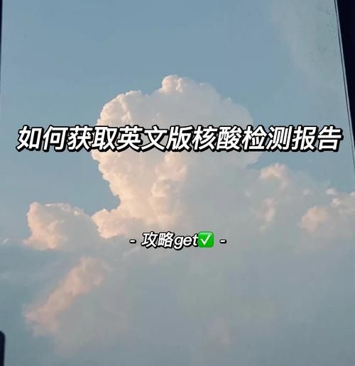 SiliconLust汉化版下载指南 手把手教你获取中文版