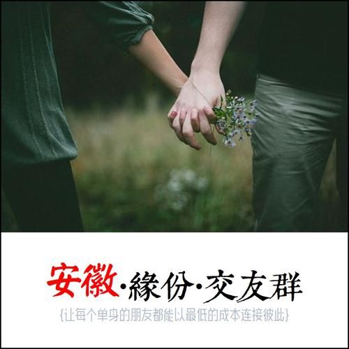 SingleAgain安卓免费下载 真实可靠的单身交友平台