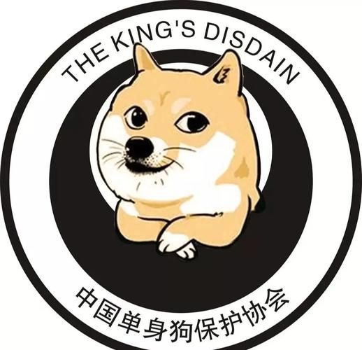 SingleAgain官网单身人士专属情感指南免费领取
