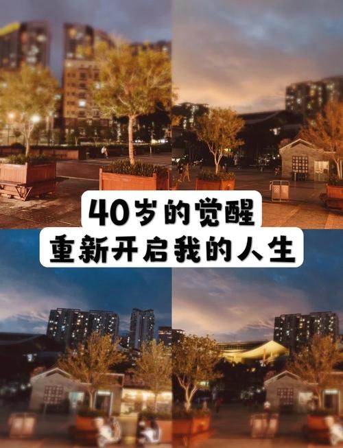 SingleAgain最新动态 单身生活重新开始的精彩故事
