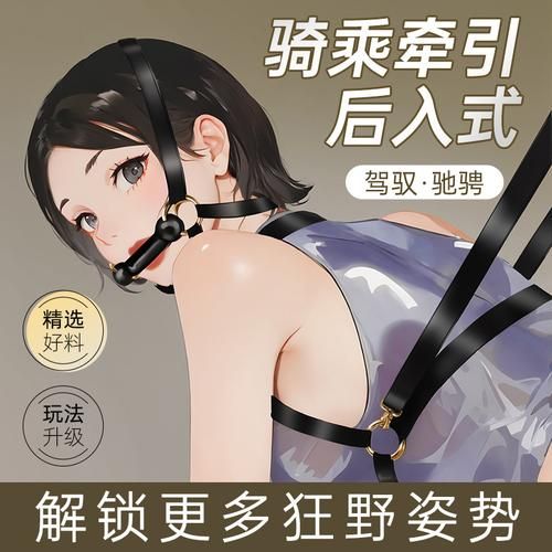 SM航空绅士游戏特色解析 带你体验独特魅力