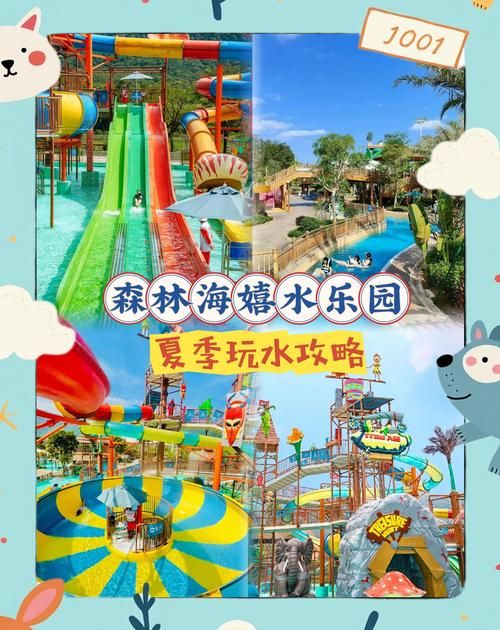SOA水上乐园安卓最新版本 更新内容与游玩技巧分享