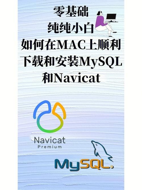 SOA续集最新版本下载 手把手教你安装使用