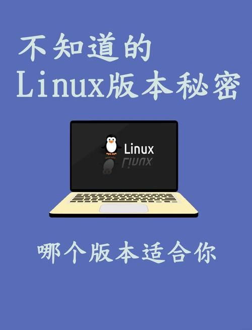 SOA续集版本大全 哪个版本最适合你