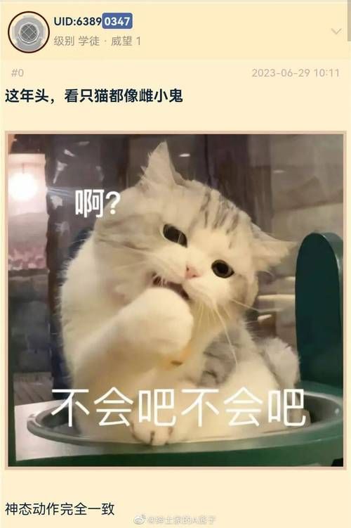 SOA雌小鬼更新地址最新发布快来查看新内容