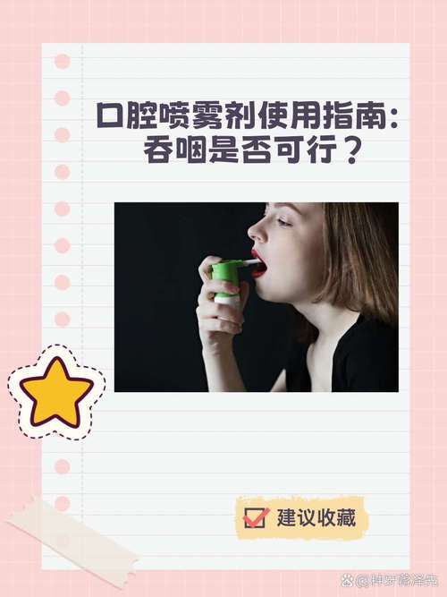 SOBV0.31精翻官方网站使用指南与常见问题