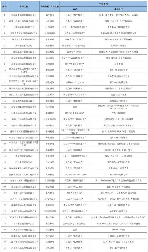 SOBV0.31精翻官方网站使用指南与常见问题