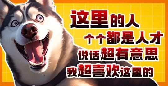 SOB军旅DLC官方网站玩家社区 组队开黑交友平台推荐