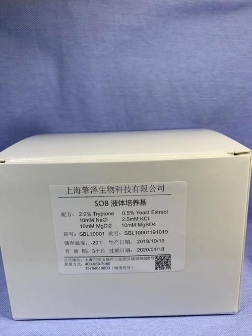SOB版本大全哪个好 各版本特色与区别全解析