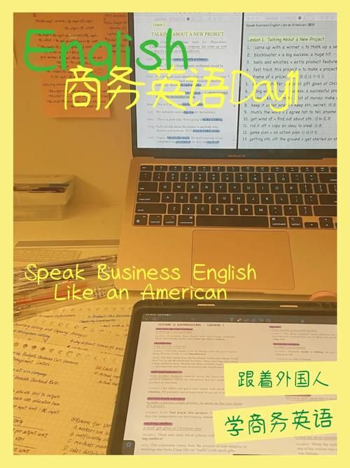 SOB版本大全哪个好 各版本特色与区别全解析