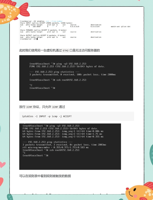 Socrates汉化版最新更新内容一览 这些功能太实用了