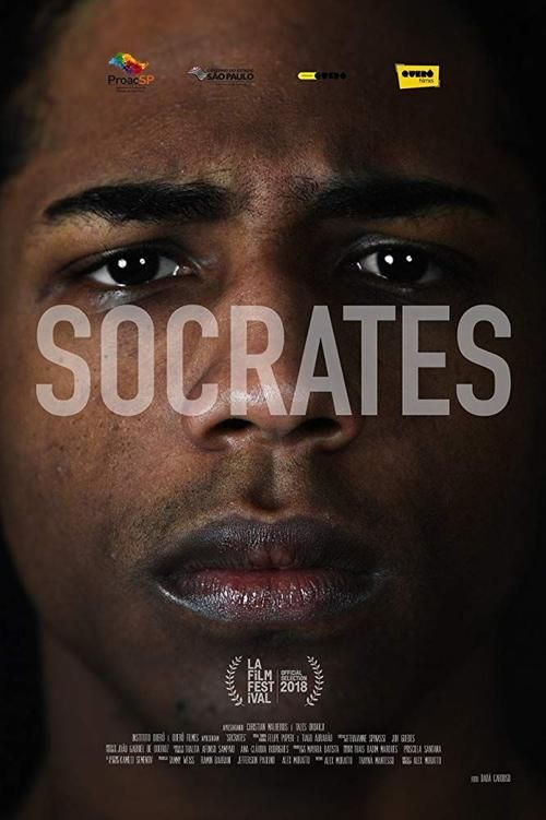 Socrates游戏官网电脑版和手机版下载对比评测