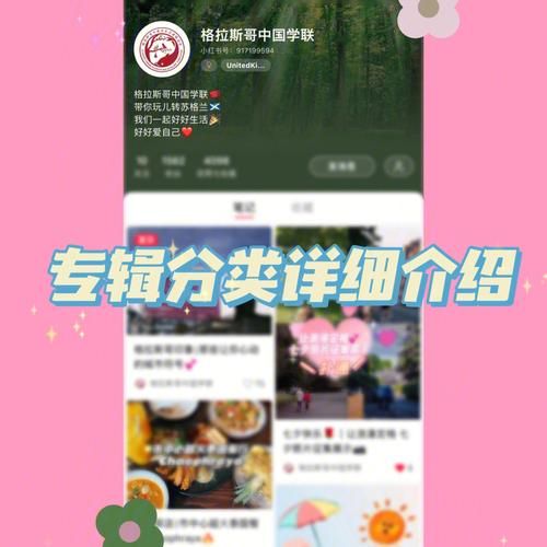SuperMamono官方网站有哪些功能 详细使用指南