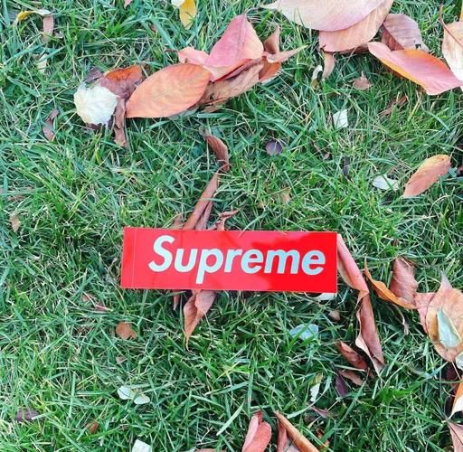 SUP更新地址在哪里 最新SUP下载链接分享