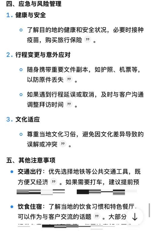 TheVisit-拜访最新指南 提升商务拜访成功率的实用方法