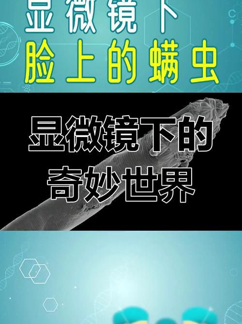 TheVisit-拜访游戏官网 带你探索游戏世界奥秘