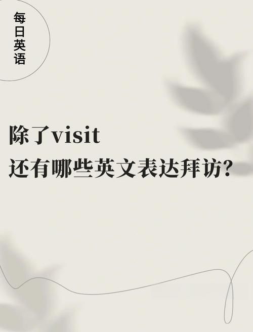 TheVisit拜访最新版本是多少 如何下载最新版