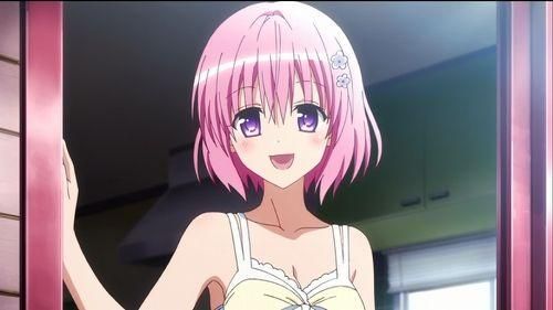 TOlove最新版本是多少 如何升级到最新版