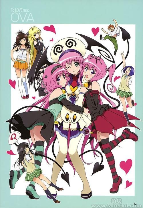 TOlove最新版本是多少 如何升级到最新版
