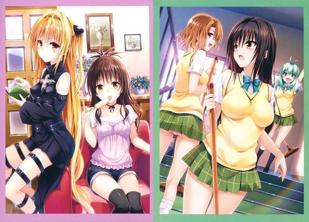 TOlove最新版本是多少 如何升级到最新版