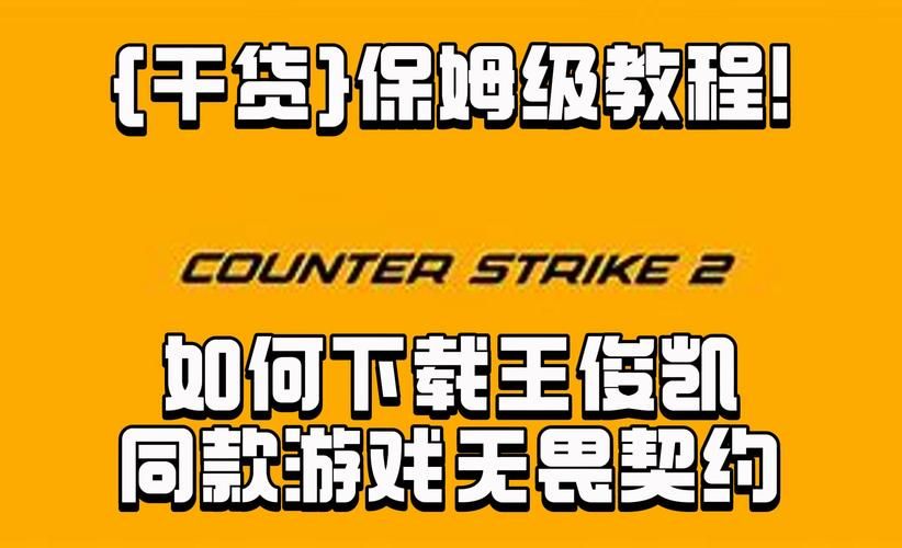 VAM1.9.8下载教程 手把手教你如何快速获取