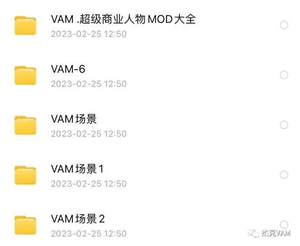 VAM整合包3款官网大全 免费下载安装教程