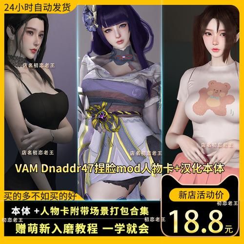 VAM纯净中文版在哪下载 电脑版安装包免费下载