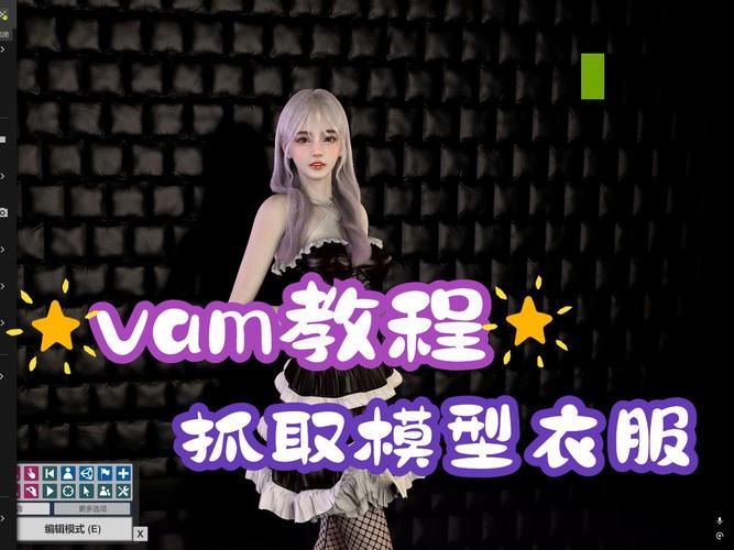 VAM纯净中文版官方网站下载安装教程一键搞定