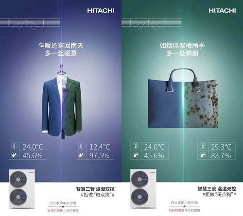 VAM纯净中文版最新下载 一键安装无广告绿色版