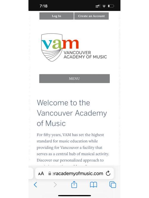 VAM纯净中文版版本大全 哪个版本最好用推荐