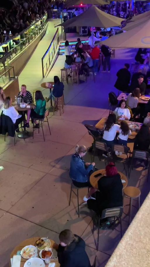 Vividdead游戏下载地址 安全安装包推荐