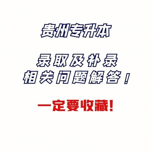 VtuberHack官方网站注册流程及常见问题解答
