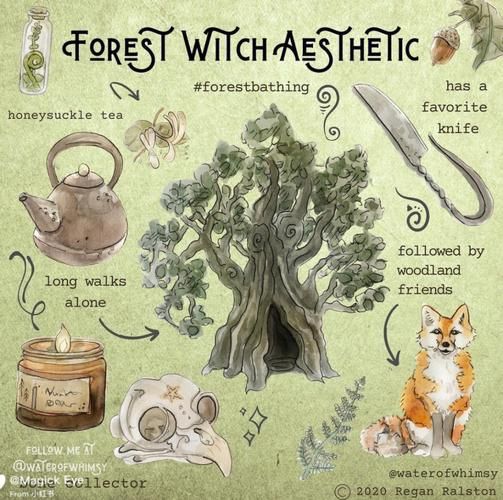 WitchPlease游戏介绍 魔法题材游戏的独特魅力解析