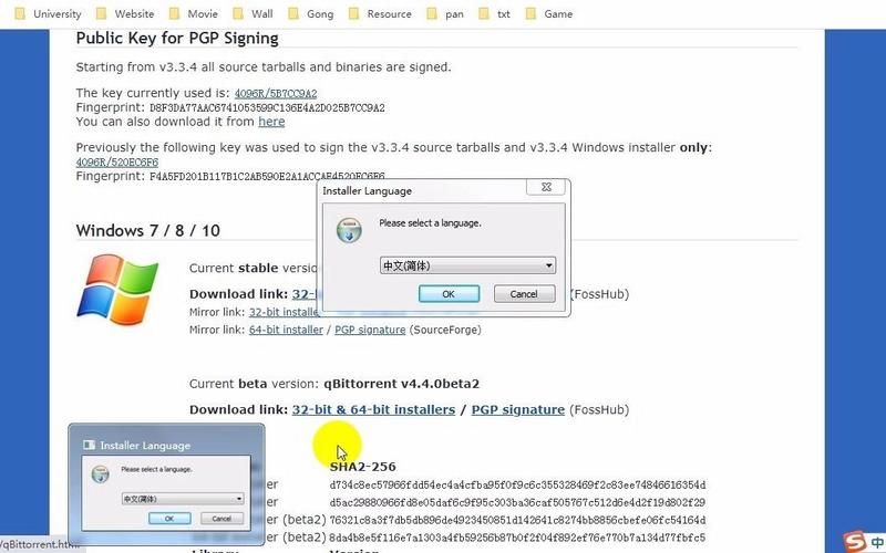 WitchPlease版本大全 下载安装教程全解析