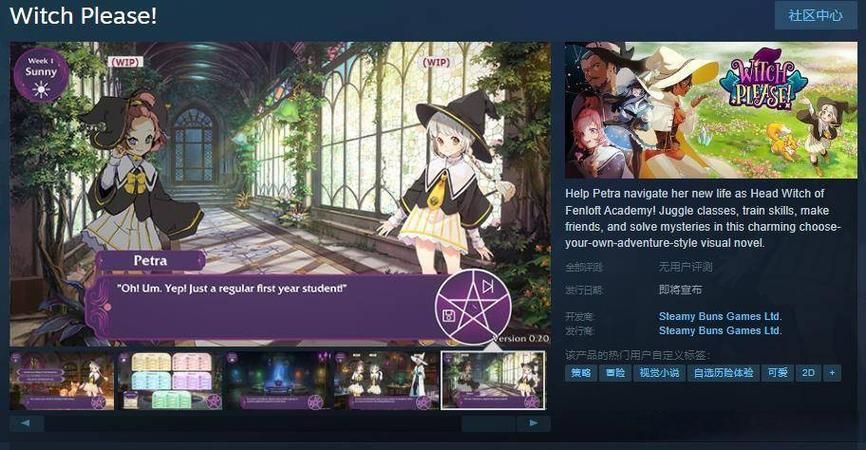 WitchPlease版本大全 下载安装教程全解析