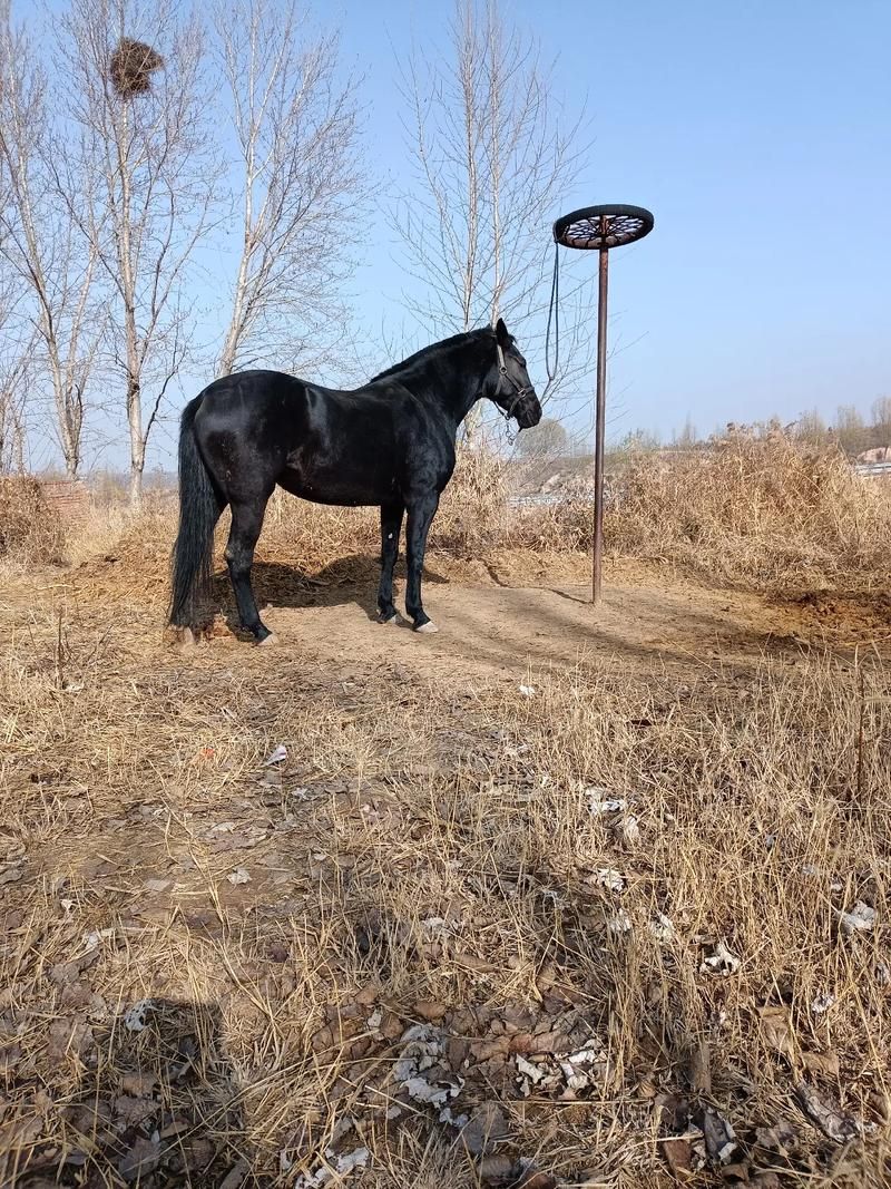 Xiangchuedge最新版本常见问题解答看完就懂了