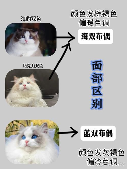 X启蒙重制版如何下载 小白也能看懂的指南